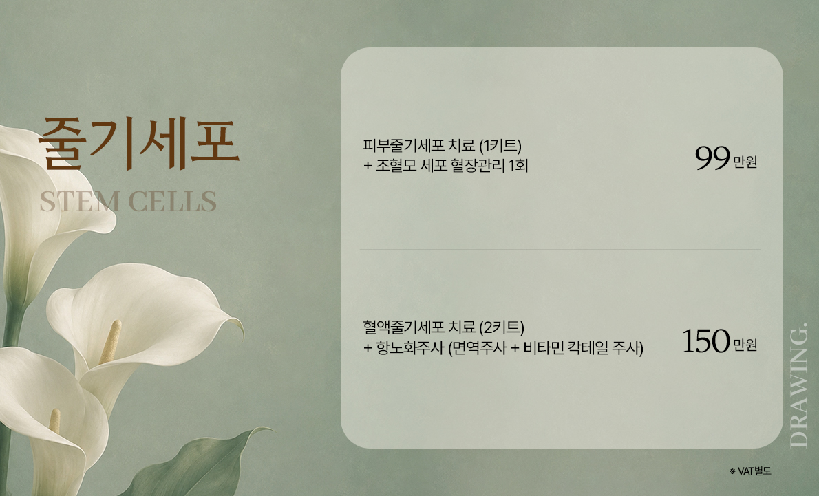 줄기세포